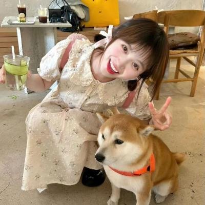 防震