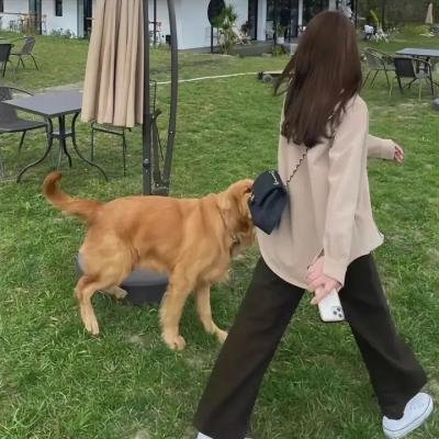 剧集综艺